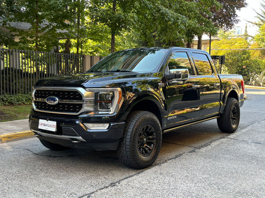 Ford F-150 Platinum 3.5 Powerboost Hybrid 2024 105.668 km Santiago - vista exterior